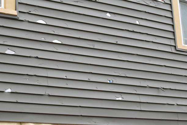 Affordable Siding Repair and Maintenance Services in Casper, WY